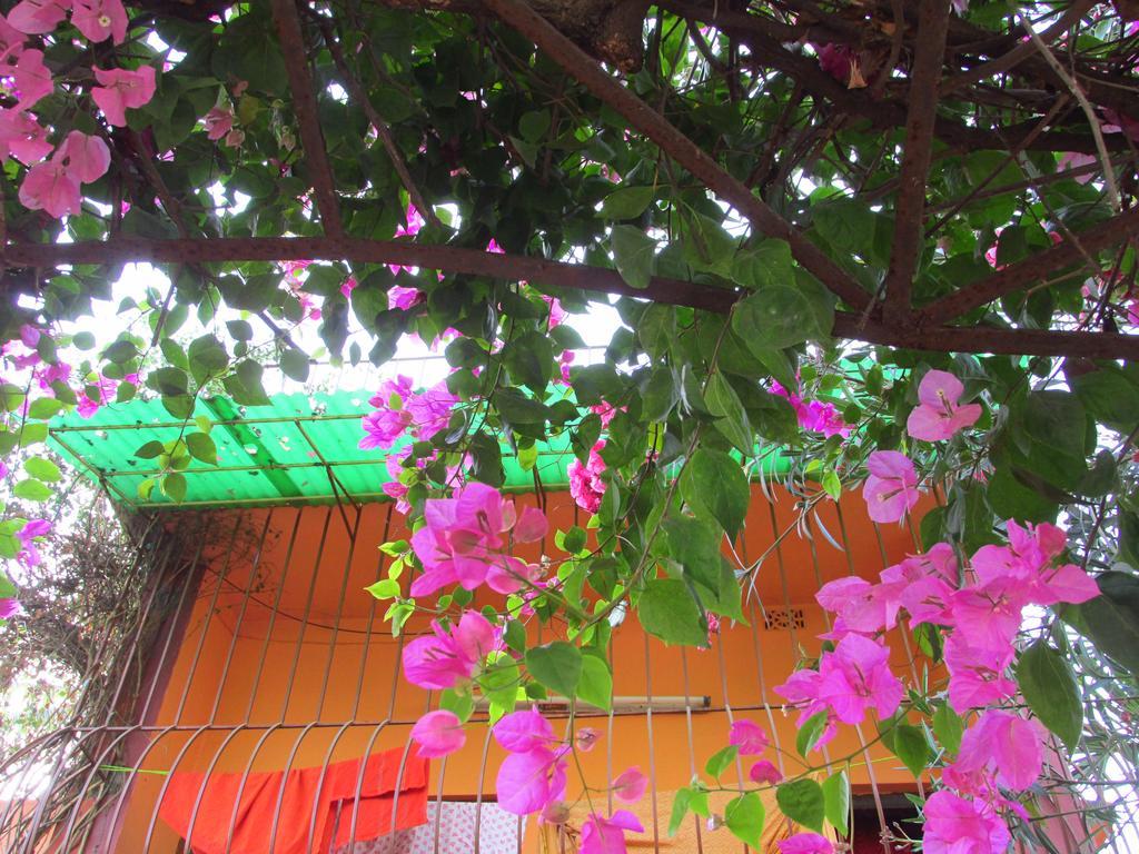 Pubali Homestay ボルプル エクステリア 写真