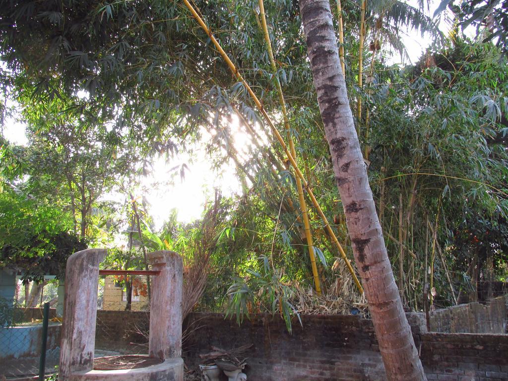 Pubali Homestay ボルプル エクステリア 写真